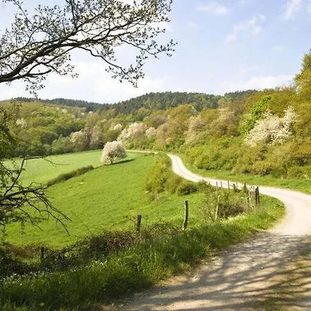 In Nideggen-schmidt